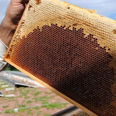 Jaegermayrhof * Λιντς